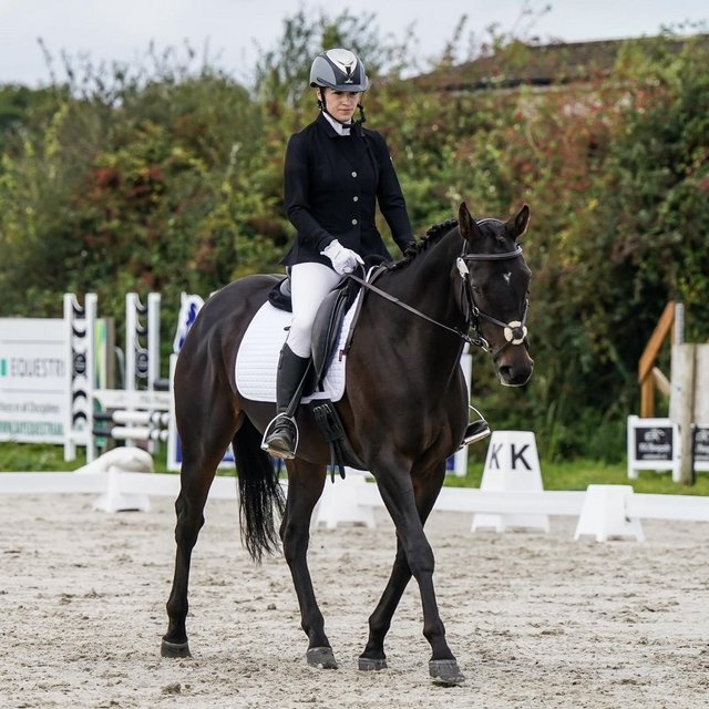Preview of the first image of Stunning 15.3hh Allrounder Mare.
