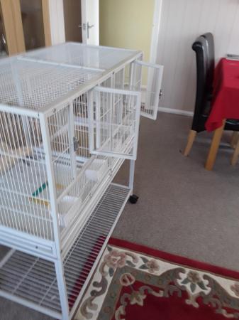 Image 3 of Large Bird Cage with divider