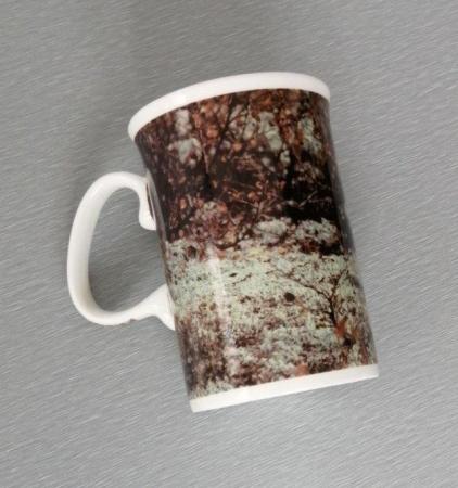 Image 4 of A 'Jon Osteng Huv' Ptarmigan Tea/Coffee Mug.