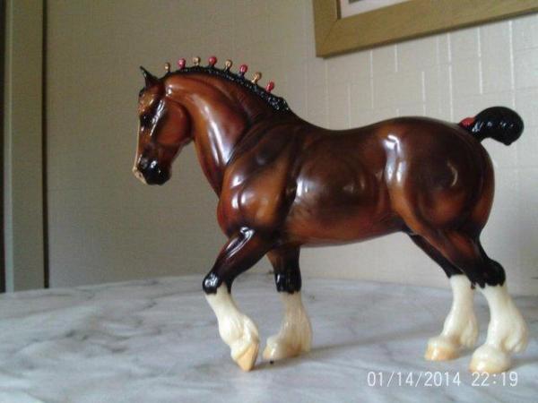 Image 2 of Beyers dark bay Clydesdale stallion