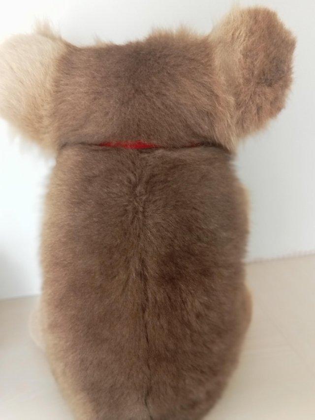 Adorable Koala bear with red bow — photo 2 of 2