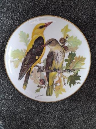 Image 1 of SET OF 8 BEAUTIFUL  BIRD PLATES FOR SALE