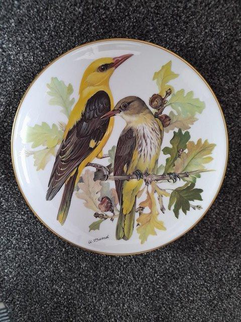 Preview of the first image of SET OF 8 BEAUTIFUL  BIRD PLATES FOR SALE.