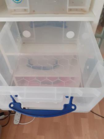 Image 4 of Snake racks with 18l useful boxes