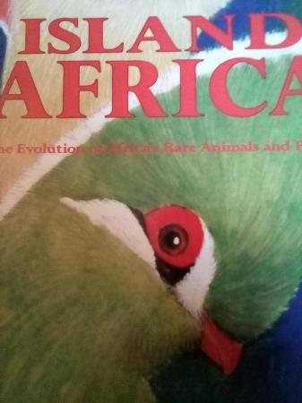 Image 2 of Island Africa by Jonathan Kingdom, Collins.