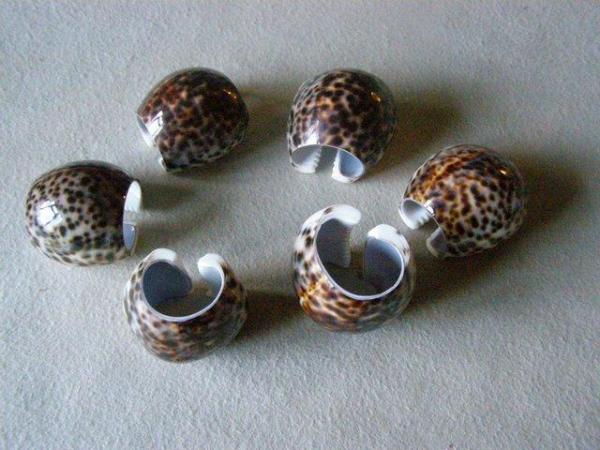 Image 1 of Napkin rings - unusual and beautiful