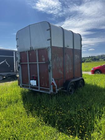 Image 1 of Iforwilliams 505 horse trailer