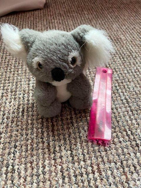Preview of the first image of Cute little Koala cuddly toy, ideal christmas gift.