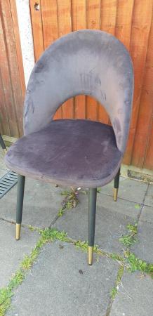 Image 1 of Dwell designer COMIDA dining chairs