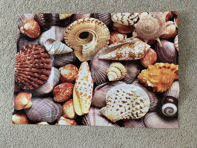 Preview of the first image of 500 piece quality Sea Shells jigsaw Portfolio Collection..