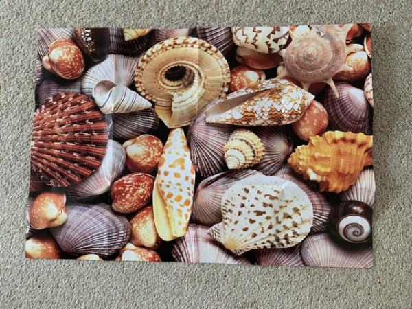 Image 1 of Shells jigsaw Portfolio Collection.