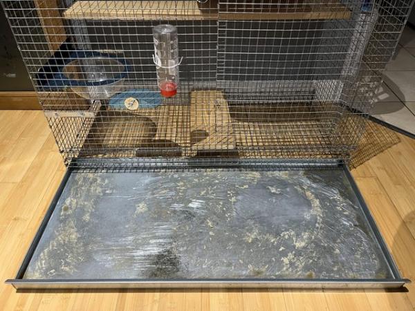 Image 4 of Two Thicket House Chinchilla Cage Plus Accessories