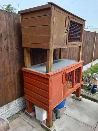 Image 2 of Two hutches for Guinea pigs