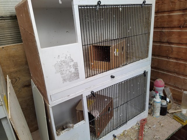 Preview of the first image of BREEDING CAGES FOR SALE.