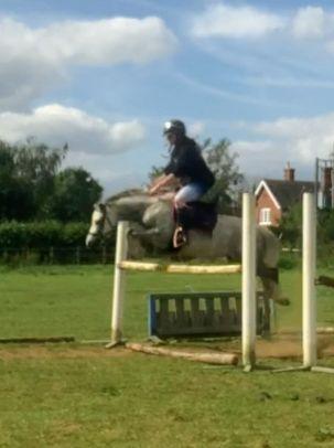 Image 1 of 2nd Ridden/Potential Ponyclub/Competition Pony