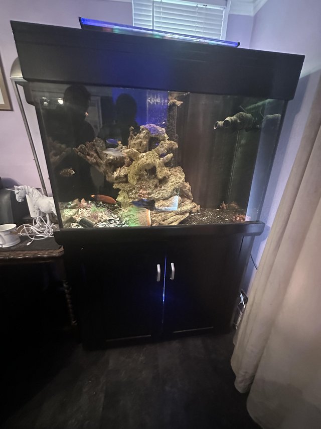 Preview of the first image of Aqua one large fish tank marine systemised complete set up.
