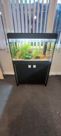Image 5 of Fishtank and accessories