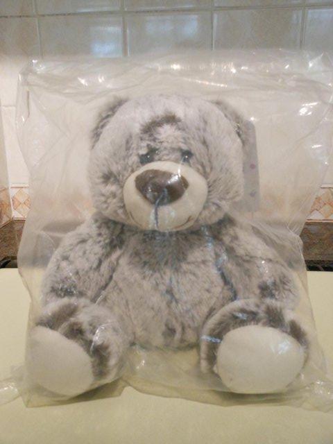 Preview of the first image of Brand New! - Totes Teddy Bear - Great Gift!.