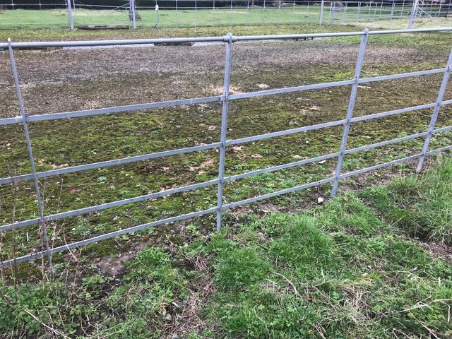 Preview of the first image of GALVANISED METAL ESTATE FENCING.