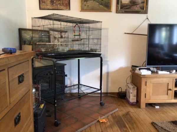 Image 4 of Large Bird Cage and Stand suitBudgie Cockatiel Canary
