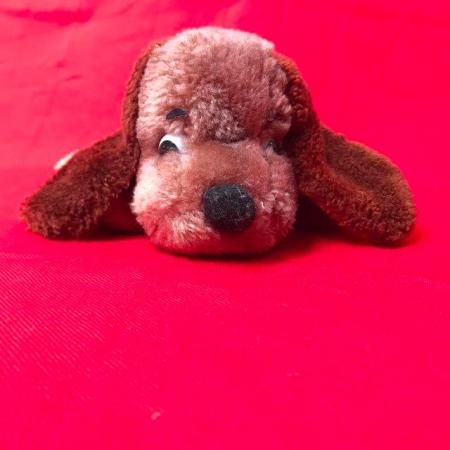 Image 2 of Plush toy dog. Big eyes & floppy ears. Happy to post.