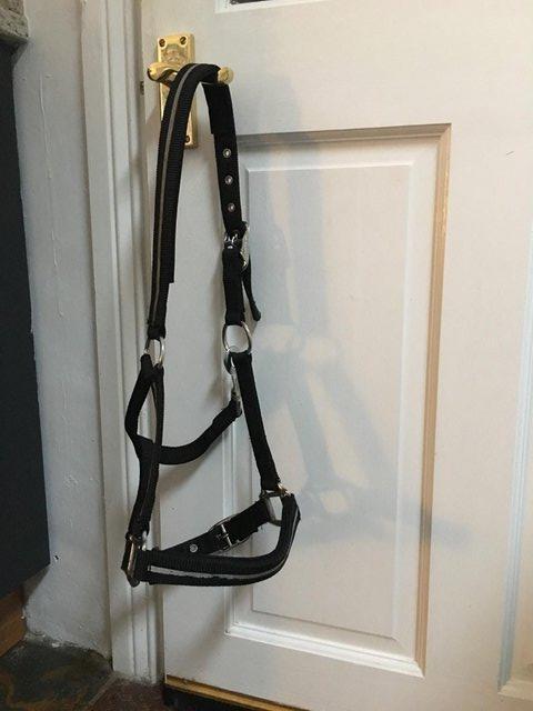 Preview of the first image of Cob Size Headcollar £10.00, Make - Roma.