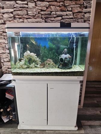 Image 3 of Fish tank and 2 fish .....