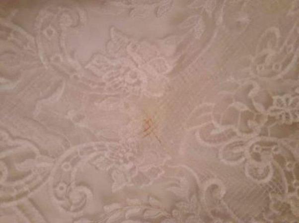 Image 3 of Christina Wu style 15620 ivory lace slim flare wedding dress
