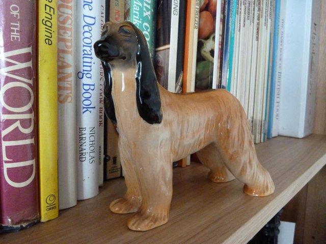 Preview of the first image of Beswick beige afghan hound ornament.