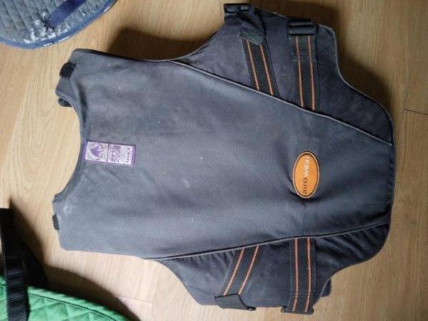 Image 2 of Three saddle-cloths and one body protector