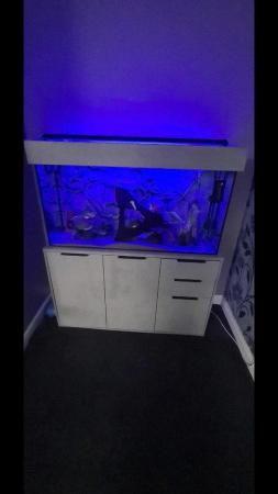 Image 8 of Fish + Aqua One 250L Tank With Cabinet + Fluval 407 Filter