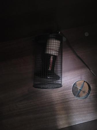 Image 6 of Reptile housing with heat lamp,  thermostat,  heat mat