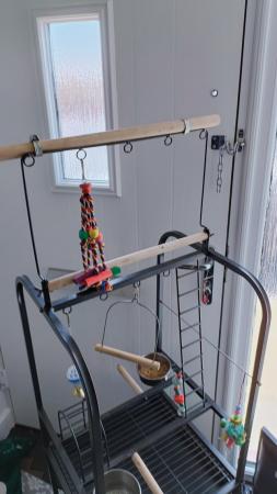 Image 4 of Parrot play stand with toys