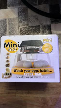 Image 1 of Brinsea Egg Incubator with Brooder and chickeggs book