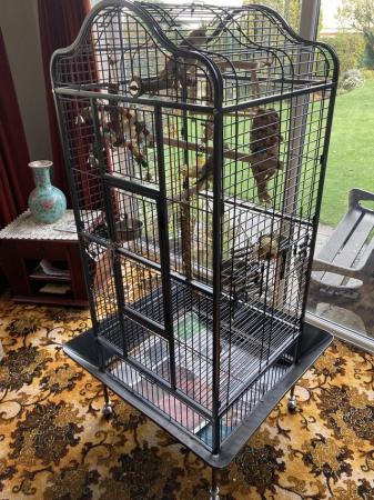 Image 1 of 2 x bird cages for sale.