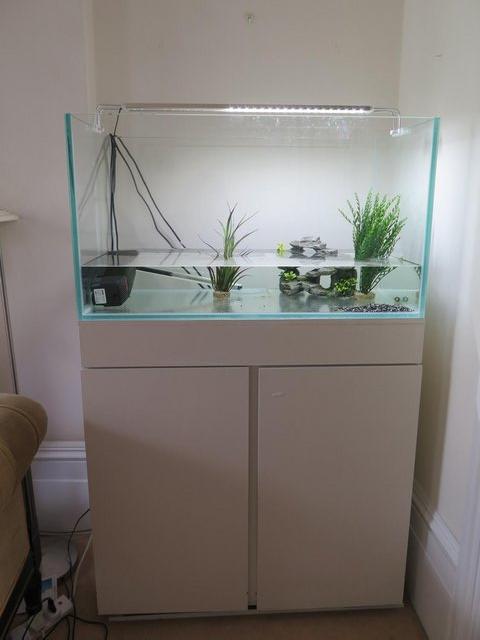 Preview of the first image of Aquarium 3ft with cabinet, sump and light for sale.