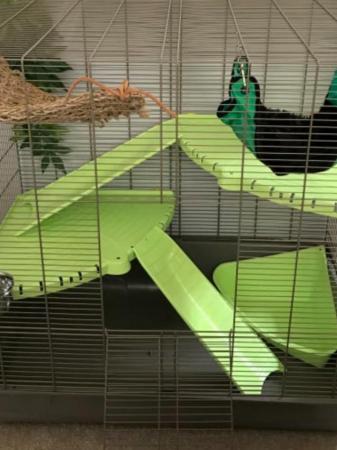 Image 1 of Cage Large Brand-new for small animals rats hamsters