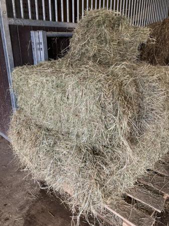 Image 3 of Small hay bales for sale £4.50 each