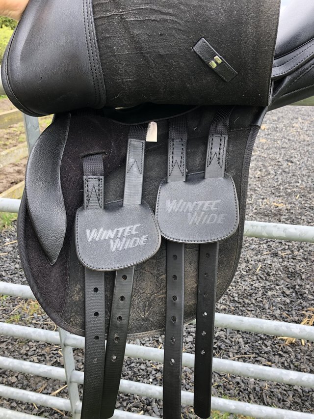 Preview of the first image of Wintec-wide saddle “17” -good condition.