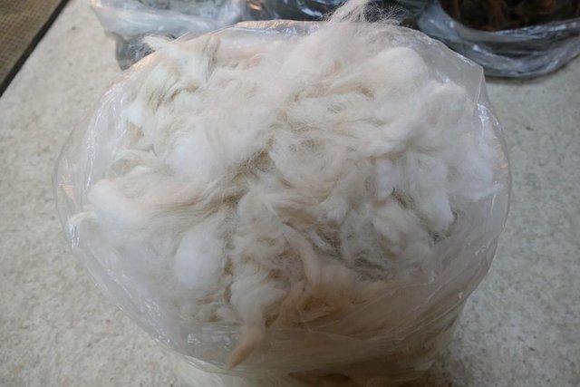 Image 5 of Alpaca fleece for sale - stuffing, felting from £8.50 per kg