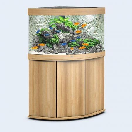 Image 10 of Fish Tanks Available At The Marp Centre