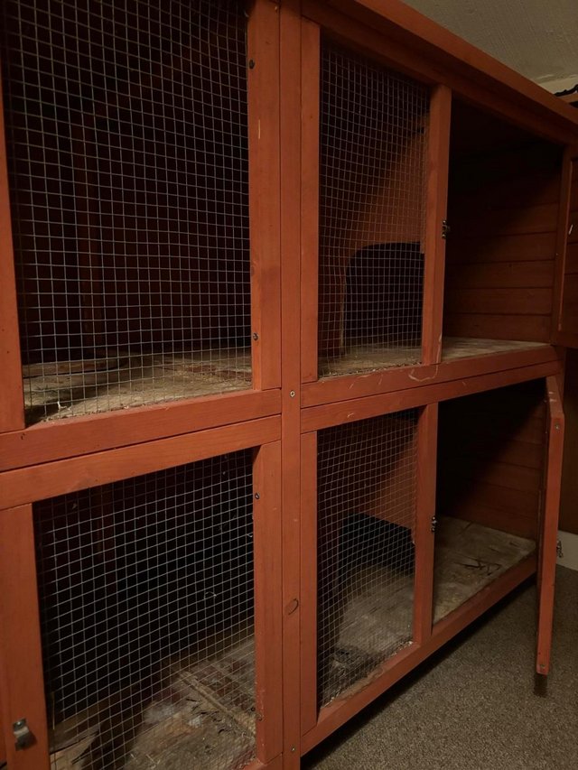 Preview of the first image of Large rabbit/Guinea pig outdoor or indoor hutch.