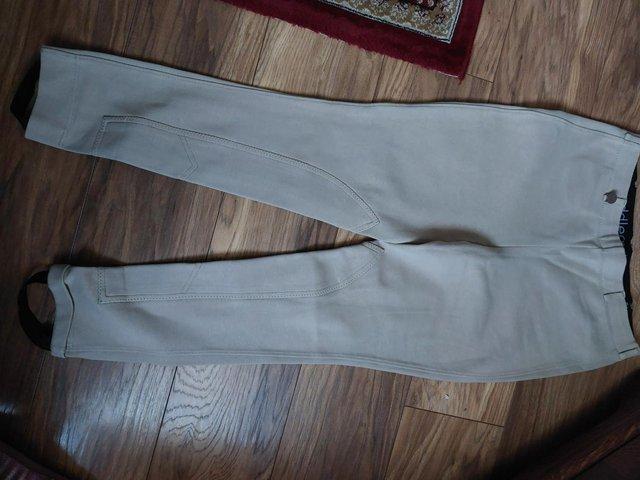 Preview of the first image of saddlecraft jodhpurs beige size 34.