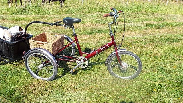 Image 3 of Pashley Tri Tricycle and Bike Trailer,Aduilt trike.
