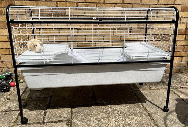 Image 5 of Guinea Pig / Rabbit Cage with stand