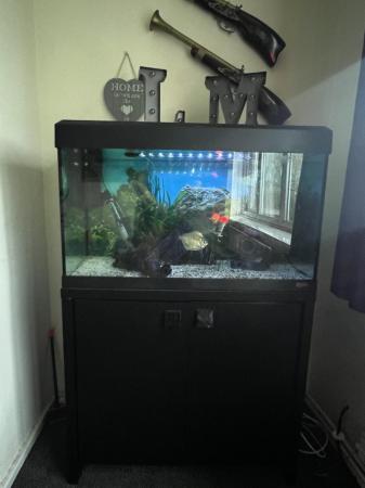 Image 3 of Fish tank. Full set up. With storage