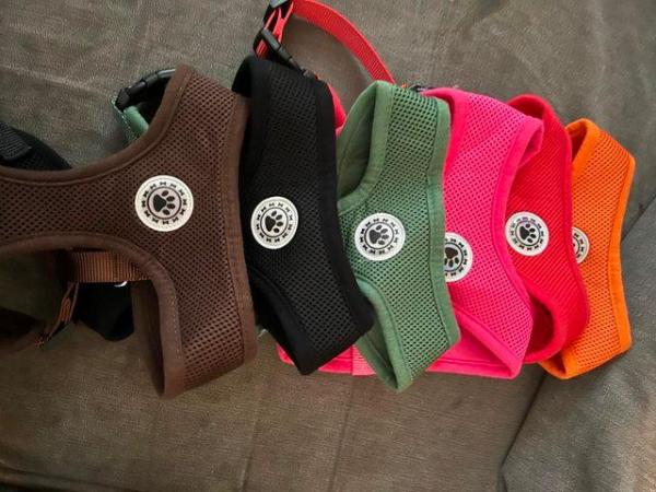 Image 2 of Dog harness I have in several different colours in Large