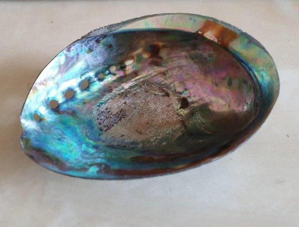 Image 2 of Polished abalone (paua) shell