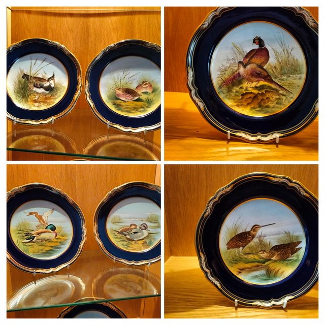 Preview of the first image of Game bird Display plates.