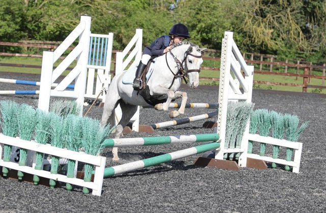 Preview of the first image of Topper 11.2hh first pony.
